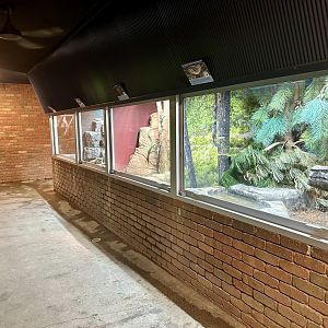 Reptile House (Inside)
