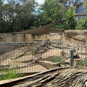 Wombat Exhibit