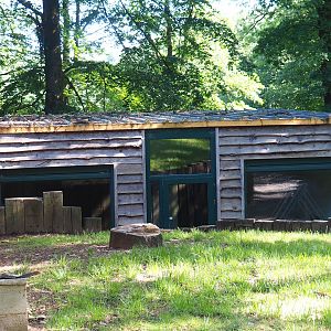 Future cheetah house, 2023-06-24