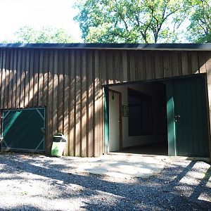 Kordofan giraffe barn, 2023-06-24
