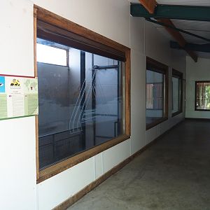 Interior of the Kordofan giraffe barn - With recycled window from an Aldi supermarket, 2023-06-24