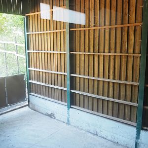 Kordofan giraffe barn - Covered shelter between indoor housing and outdoor paddock, 2023-06-24