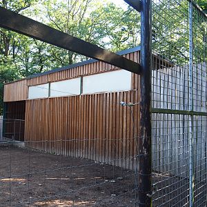 Kordofan giraffe barn, 2023-06-24