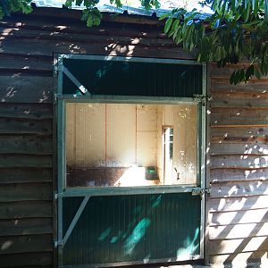 Nyala barn, 2023-06-24