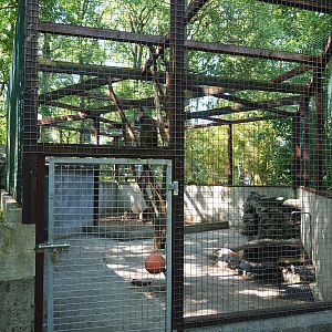 Kea aviary, 2023-06-24