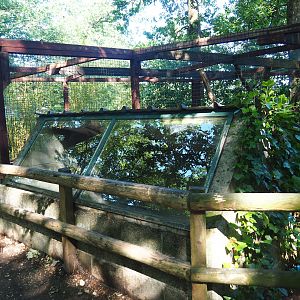 Kea shack, 2023-06-24