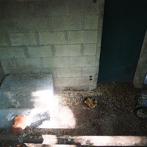 Kea indoor housing, 2023-06-24