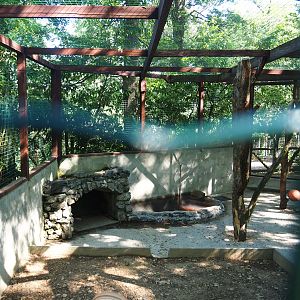 Kea aviary, 2023-06-24