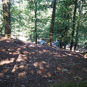 Barbary sheep exhibit, 2023-06-24