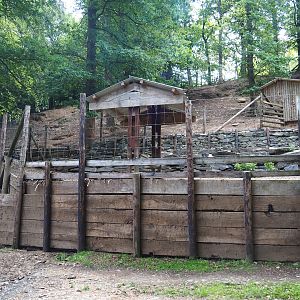 Barbary sheep feeding area, 2023-06-24