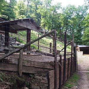 Barbary sheep feeding area, 2023-06-24