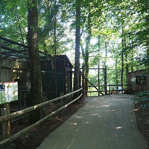 Dead-end walkway with Helmeted curassow aviary, Dhole viewing area and Dhole barn, 2023-06-24