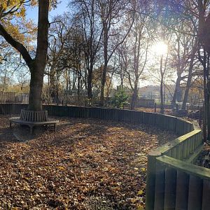 Beale park Wild Boar enclosure (panoramic)
