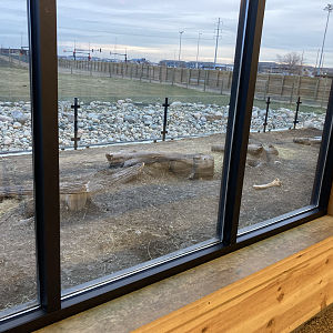 Pride of the Prairie - Prairie Dog Exhibit