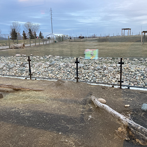 Pride of the Prairie - Prairie Dog exhibit