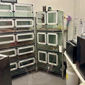 Invertebrate Hatchery