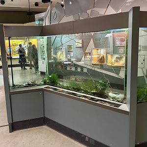 Freshwater Ecosystems Tank