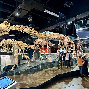 Mamenchisaurus constructus