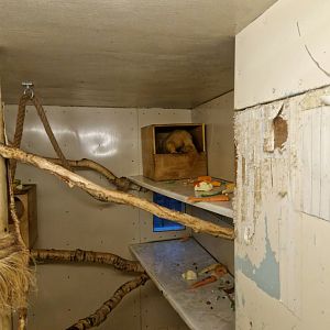 Brushtail possum indoor enclosure