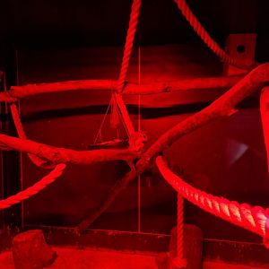 Squirrel glider enclosure