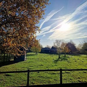 General view at Hamerton