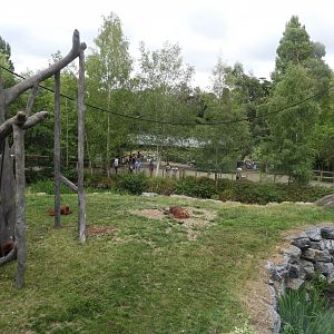 [2018] Orangutan and siamang enclosure
