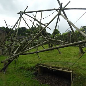 [2018] Red howler monkey enclosure