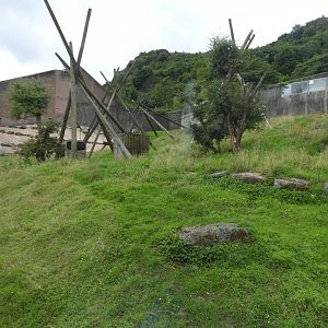 [2018] Chimpanzee enclosure