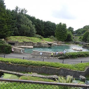 [2018] View of sea lion enclosure