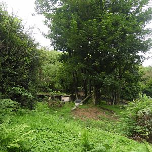 [2018] Red panda enclosure