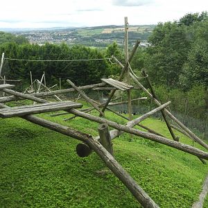 [2018] Colobus enclosure