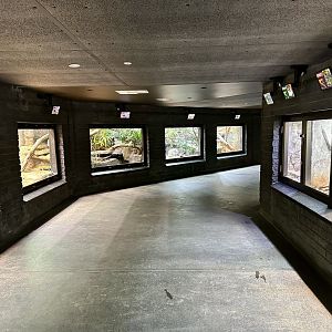 Reptile House (Interior)