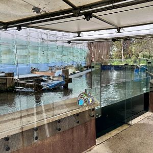 Little Blue Penguin Exhibit