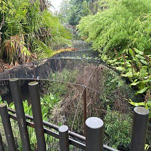 Carnivores Trail Plantation