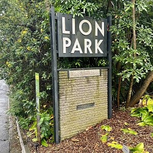 Lion Park (1966)