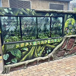 Butterfly Pupae Hatchery