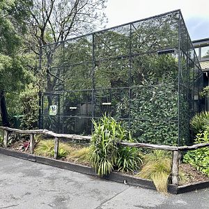 Cotton-top Tamarin Exhibit