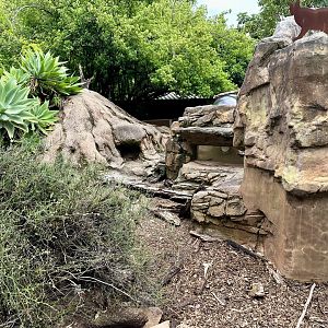 Second Meerkat Exhibit