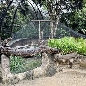 Lace Monitor Exhibit