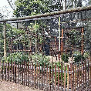 Southern Koala Aviary