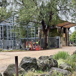 Giraffe House Construction