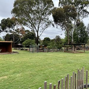 Kangaroo/Wallaby Exhibit