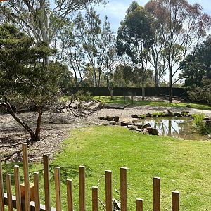 Kangaroo/Wallaby Exhibit