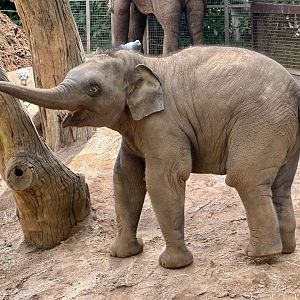 Kati (10 months old)