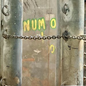 Old Elephant Graffiti (Num Oi and Sanook)