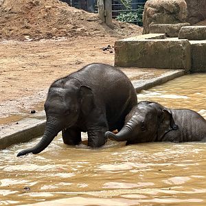 Aiyara and Kati Swimming