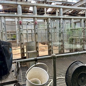 Elephant Barn (Stalls)