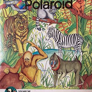 Singapore Zoo: 'The Open Zoo' (Polaroid Memorabilia, 1999)
