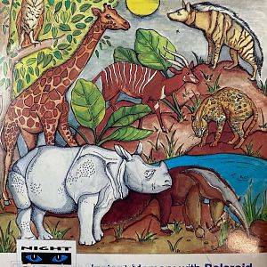 Night Safari: 'The World's First' (Polaroid Memorabilia, 1999)