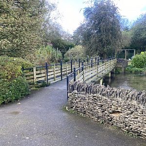Bridge towards Southern cassowaries 241023